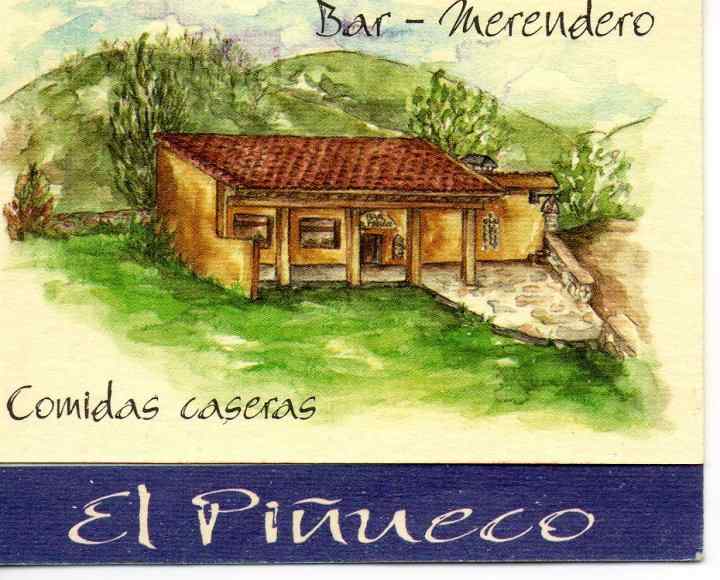 PINUECO