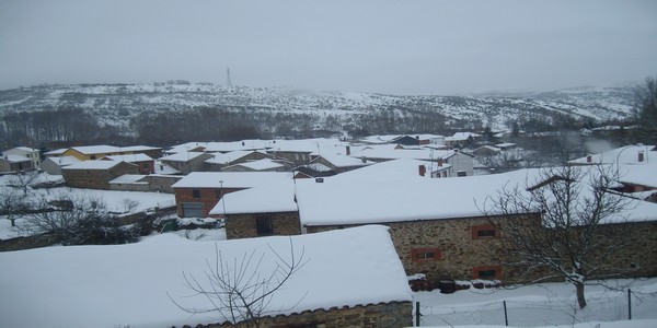photo_four